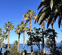 Fernreisen mit Diabetes