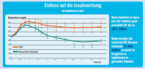 Famulla Studie Grafik - groß