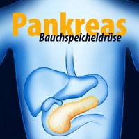 Bauchspeicheldr&uuml;senkrebs bildet eigene 'Synapsen'.