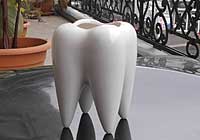 Z&auml;hne k&ouml;nnen bei Vorbeugung einer Parodontitis erhalten werden.