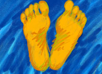 Vier Füße - Foto: Heiner Schäfer